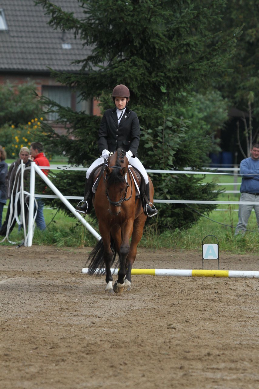 Bild 181 - WBO-Turnier am 18.9.11